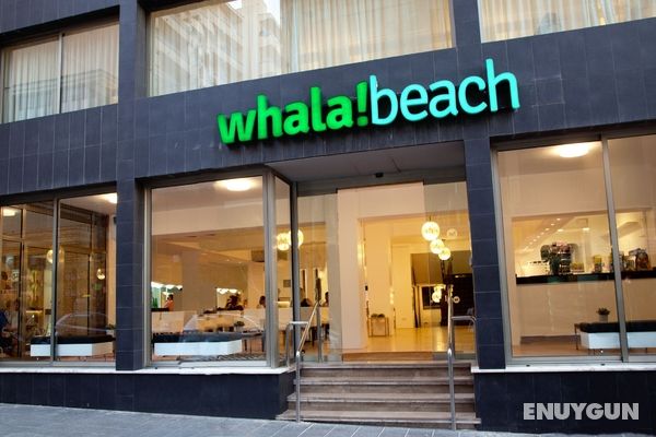 whala!beach Genel