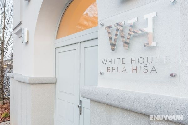 White House - Bela Hiša Öne Çıkan Resim