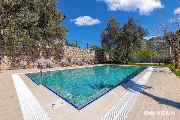 Villa With Pool and Olive Grove in Selimiye Öne Çıkan Resim