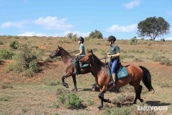 Woodbury Tented Camp - Amakhala Game Reserve Genel