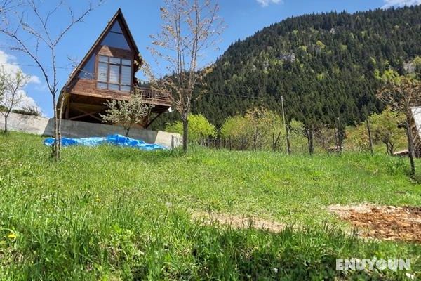 Yayla Bungalov Hotel Genel