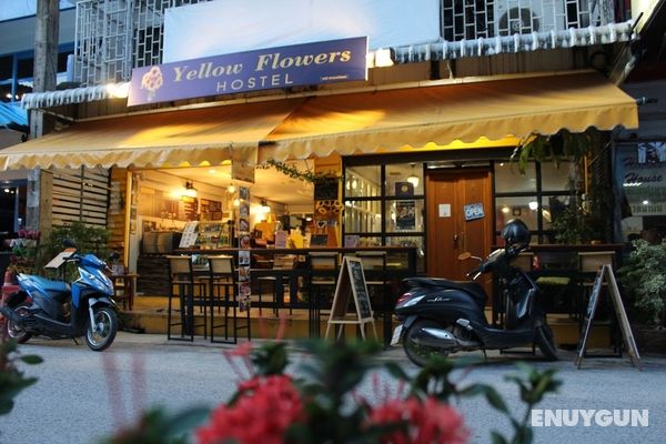 Yellow Flowers Hostel Öne Çıkan Resim
