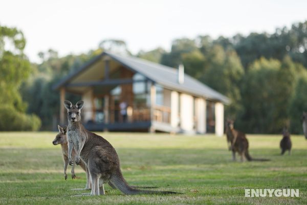 Yering Gorge Cottages Genel