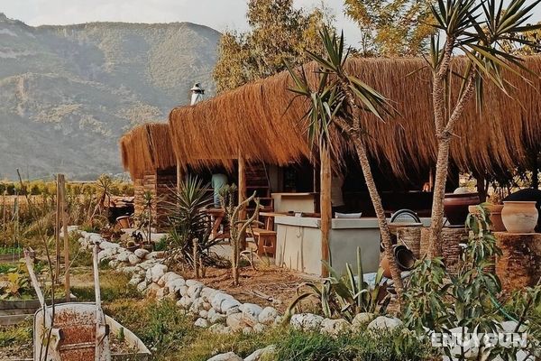 Yucca House Gokova Genel