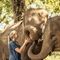 Anantara Golden Triangle Elephant Camp & Resort slider thumbnail