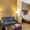Comfort Inn & Suites Tuscumbia - Muscle Shoals slider thumbnail