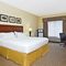 Holiday Inn Express Hotel & Suites East Lansing slider thumbnail