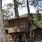 Saban Treehouses slider thumbnail
