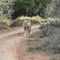 Sanbona Wildlife Reserve slider thumbnail
