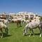 Tourist Hotels Resort Cappadocia slider thumbnail