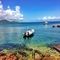 W Retreat & Spa - Vieques Island slider thumbnail