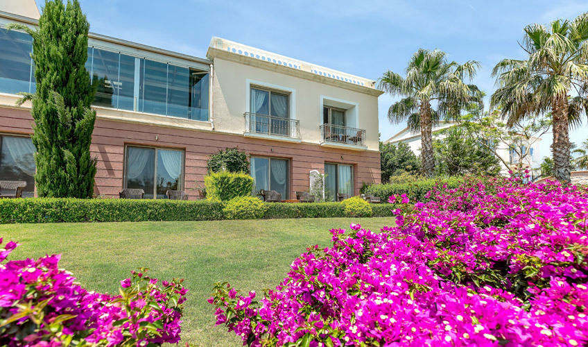 Antmare Hotel
