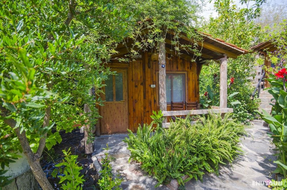 Economy Bungalow
