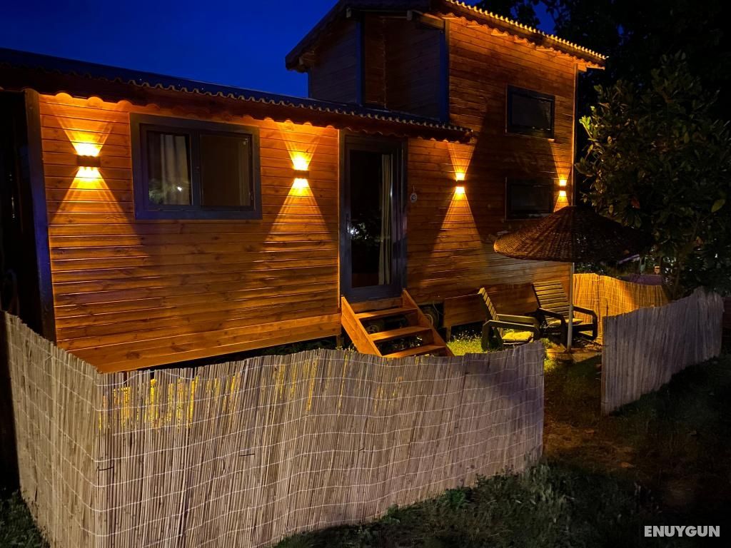 Tiny House Bungalow with Garden View