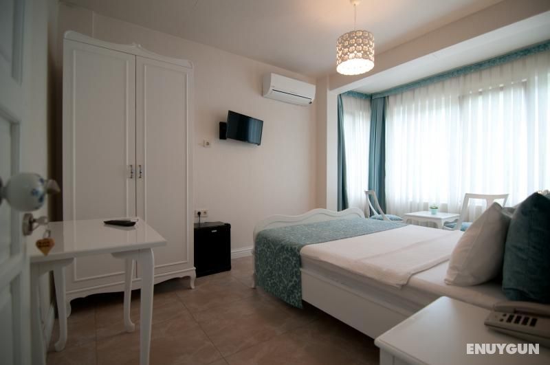 Standard Mountain View Room