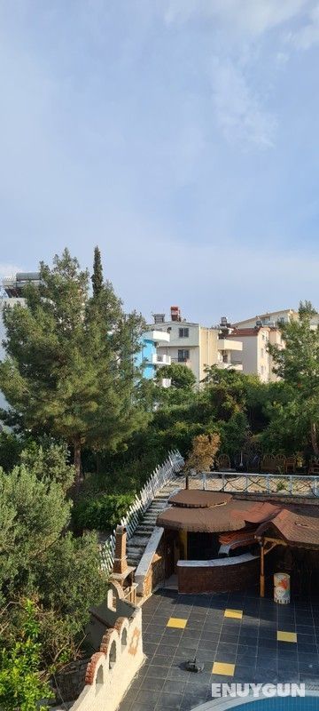 Double Room with Pool and Garden View