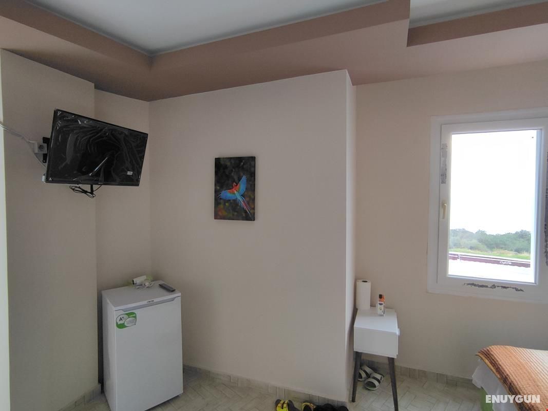 Classic Room - Standard Room