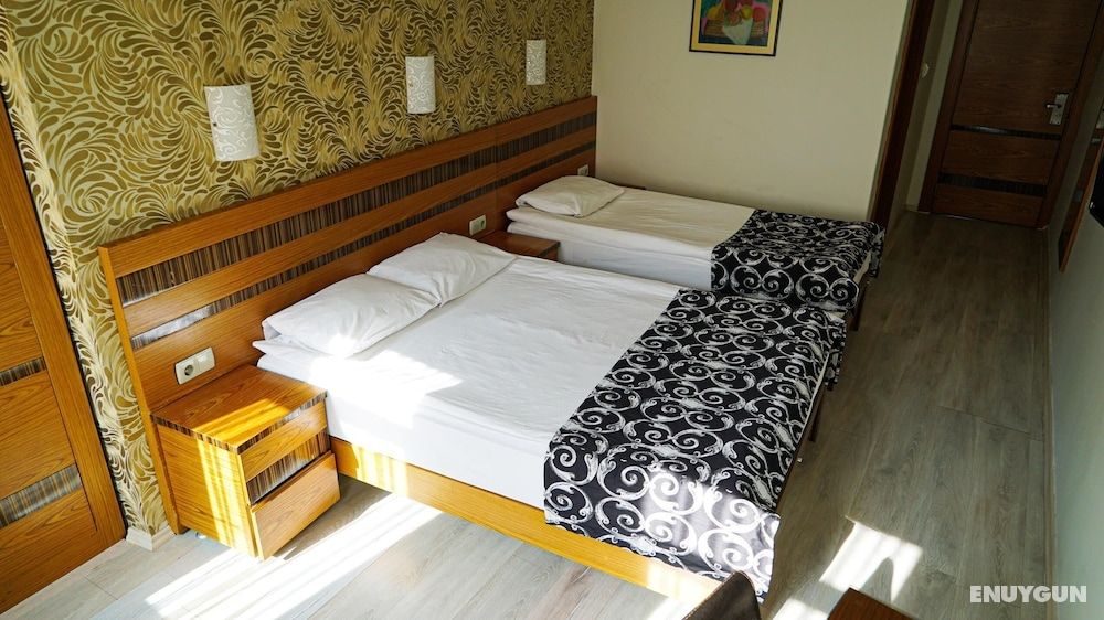 Basic Triple Room