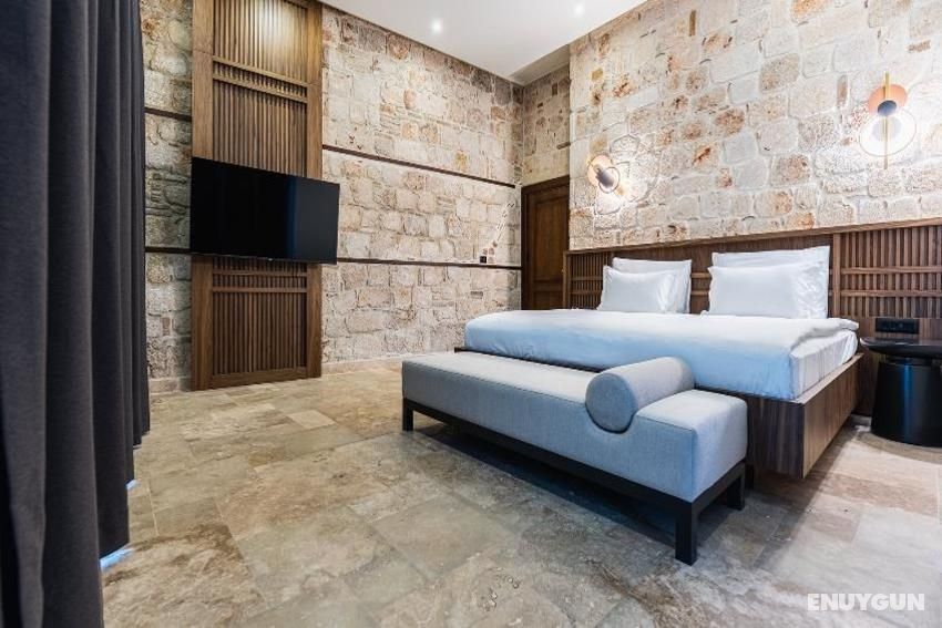 Garden Executive Suite Custom Room