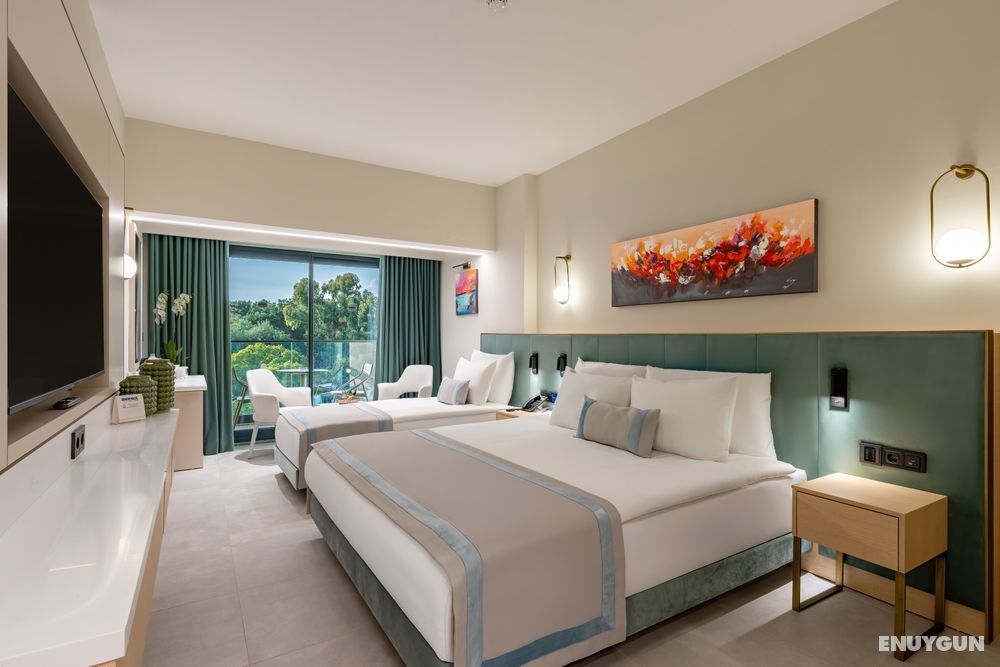 Deluxe Superior Room