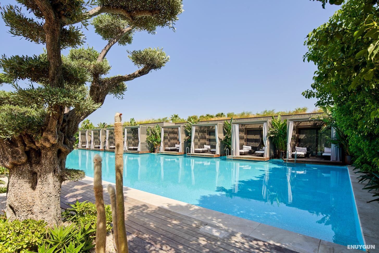 Laguna Suite Swim Up Terrace