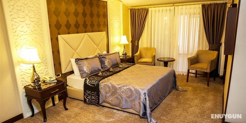Deluxe Suite Room