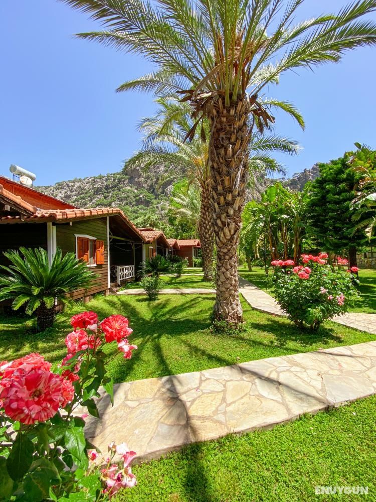 Bungalow, Garden View