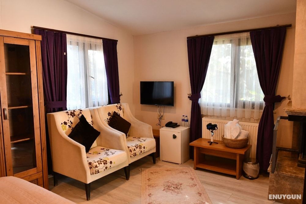Deluxe Room, Fireplace