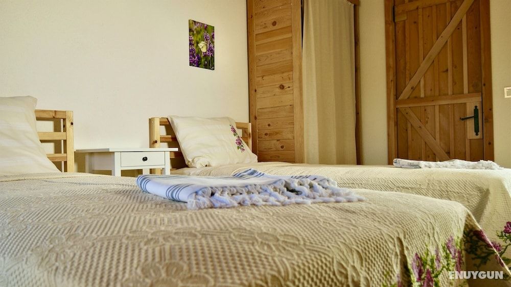 Classic Twin Room, Mountain View