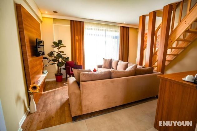 2+1 Deluxe Custom Duplex Suite Room
