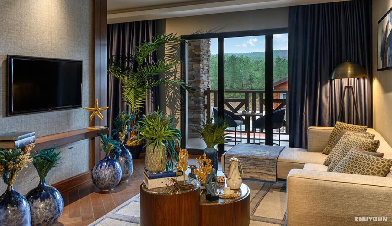 Comfort Suite Room