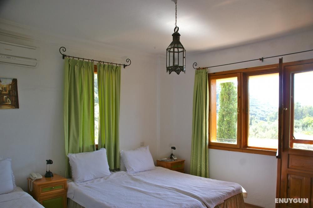 Standard Room, Mountain View