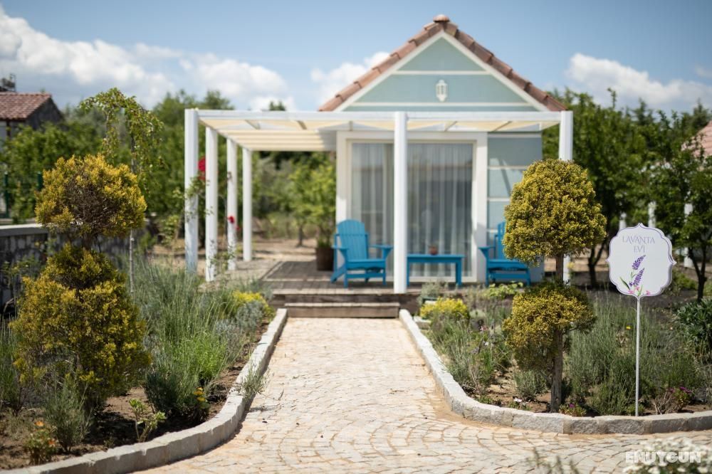 Lavender Room, Garden View, Terrace