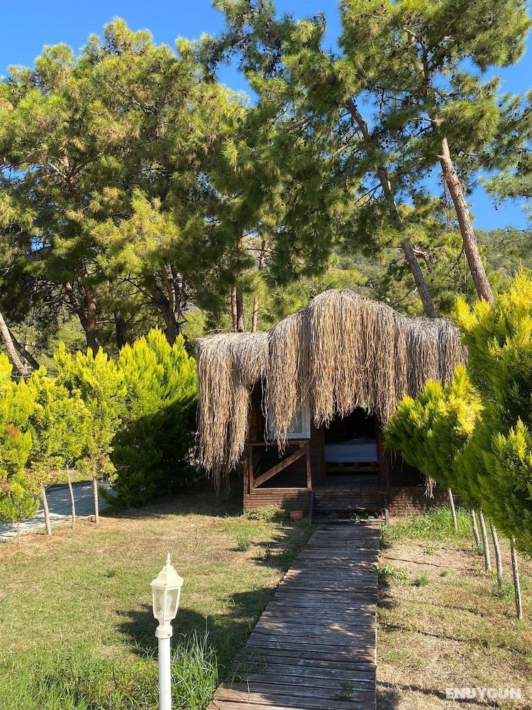 Green Deluxe Tree Bungalow