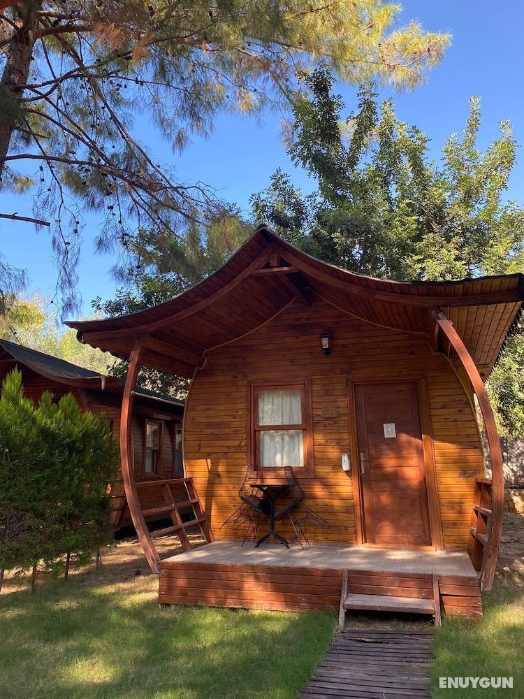 Green Natural Deluxe Bungalow