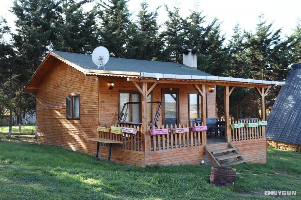 Bungalow 1+1 Room, Nature View