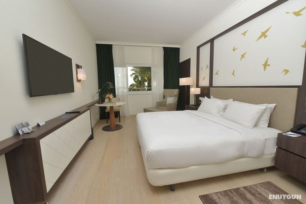 Room, 1 King Bed