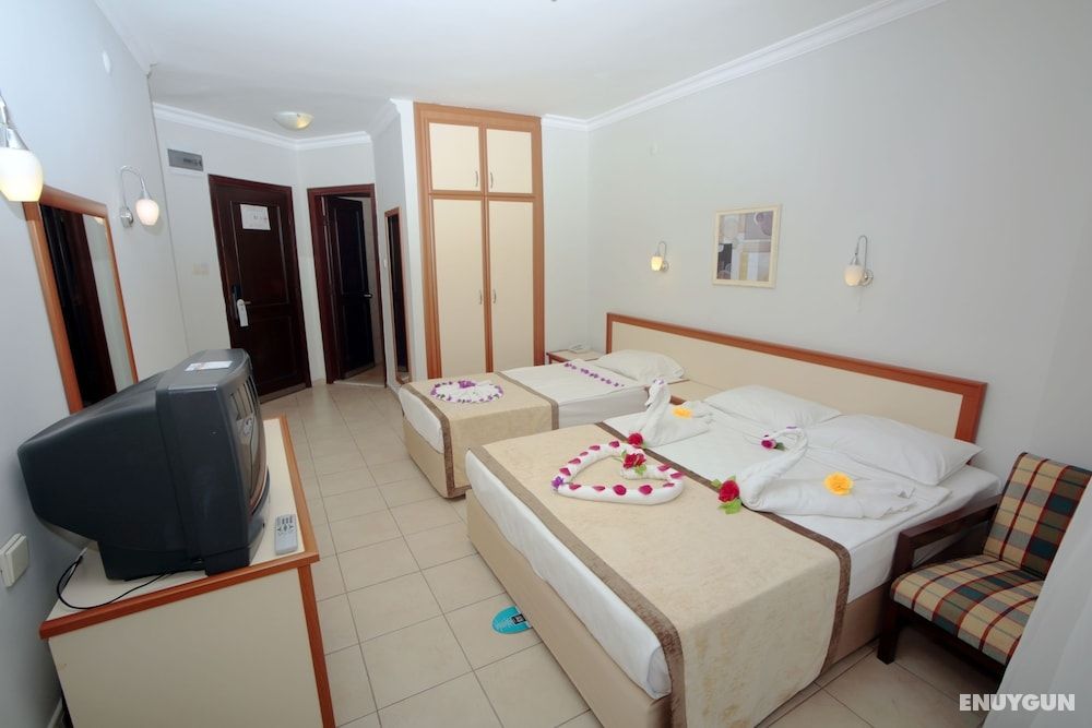 Standard Double or Twin Room (land View)