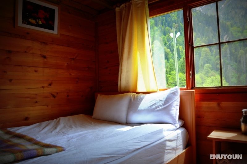 Double with Waterfall View