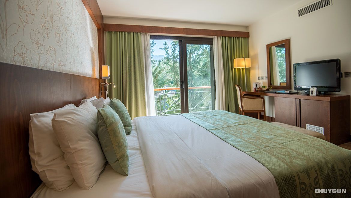 Standard Mountain View Room
