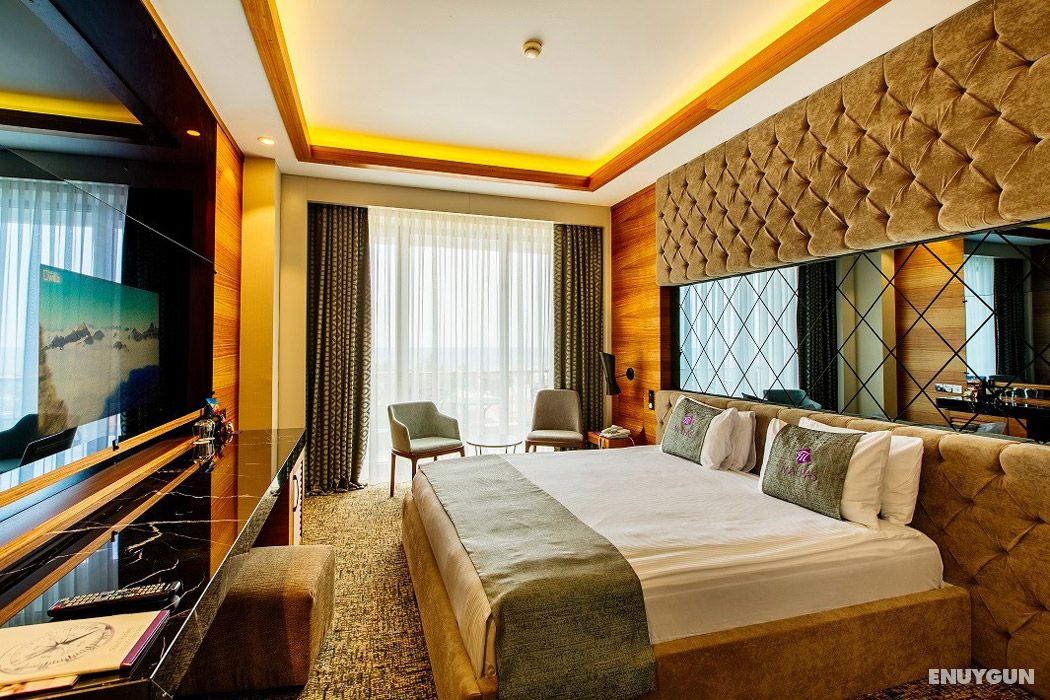 Main Building Land Standard Room