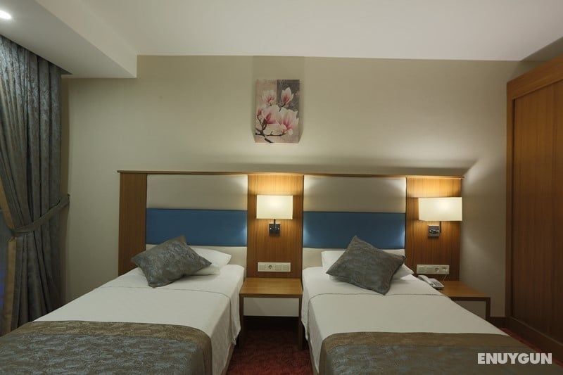 Mountain View Room