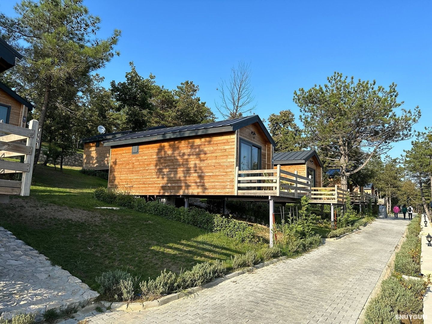 Bungalow Twin Room