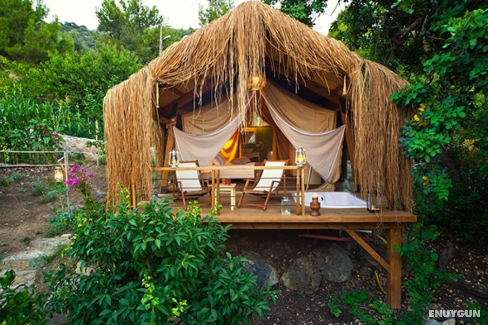 Suite, Nature View