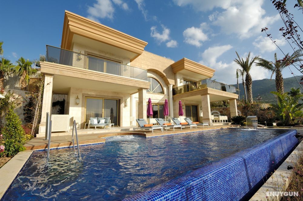 Premium Villa