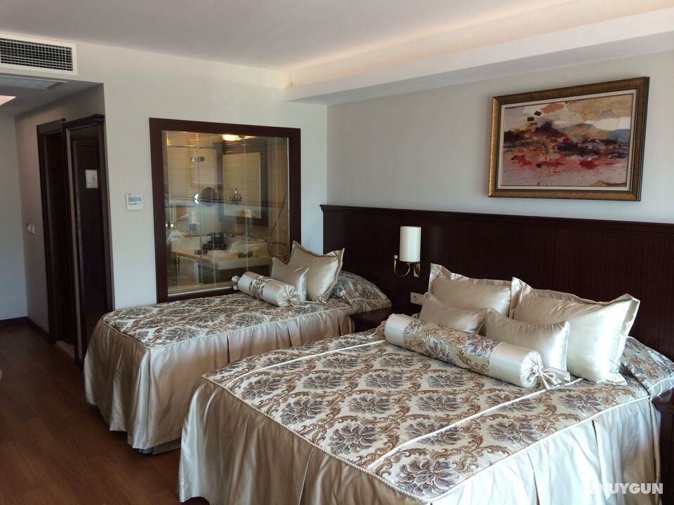 Family Room, City View
