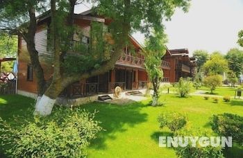 Bungalow (double)
