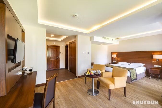 Junior Villa Room