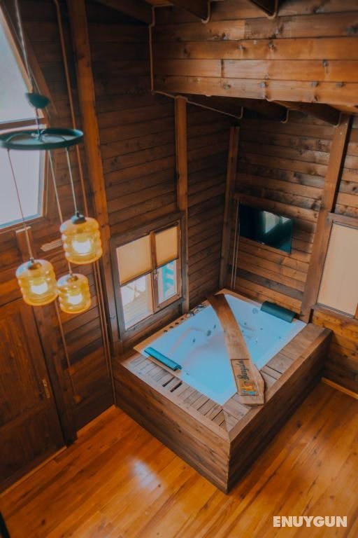 Candy Chestnut, garden view, jacuzzi, private pool (unheated)