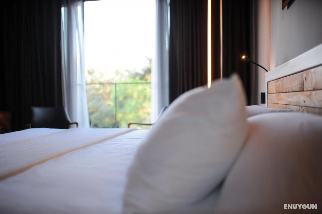 Serenity Suite